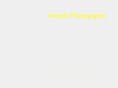 intrepidphotographic.com