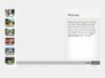 marshallteam.com