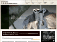 imazu.com