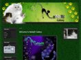 nanaricattery.com