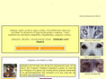adoptalomadrid.com