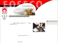foseco.com.cn