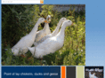 hertspoultry.com