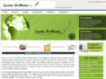 qualityseowriters.com