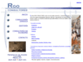 rgoconsultores.com