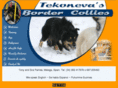 tekonevasbordercollies.com