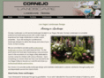 cornejolandscape.com