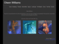 olwenmwilliams.com