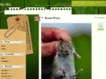 ratpics.co.uk