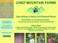 chiefmountainfarms.com