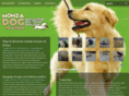 monzadogtrainer.com