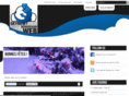 skynewt.com