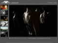 amandalucierphoto.com
