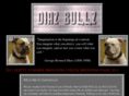 diazbullz.com