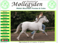 mollegydenstud.com