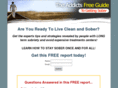 theaddictsguide.info