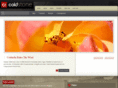 aerialhdvideo.com