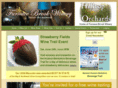 furnacebrookwinery.com