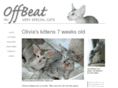 offbeat-cats.com