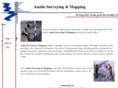 austinsurveying.com