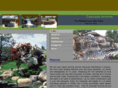 castcadearizona.com