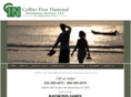 collierfinancialsolutions.com