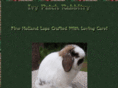 ivypatch.com
