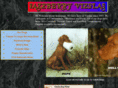 jazzberryvizslas.com