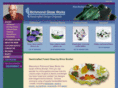 richmondglassworks.com