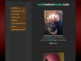 scottnelsonmusic.com