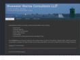 bluewatermarineconsultants.com