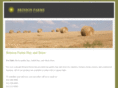 brinsonhayandstraw.com