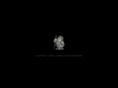 cerebral-coffins.com