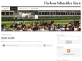 chelseaschneider.com