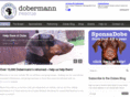 dobermannrescue.co.uk