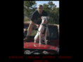 jimkallaher.com