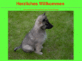 schregel.net