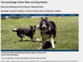 cambridgecrittersitter.com