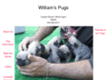 wml3.com