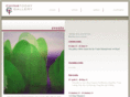 chinatodaygallery.com