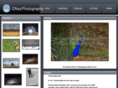dnezphotography.com