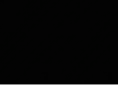 fabianbranch.com