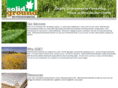 solidgroundenvironmental.com