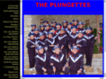 hillcountryplungettes.com