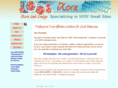 ixorawebdesign.com
