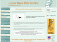 lower-back-pain-toolkit.com