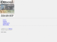 otosoul.com