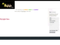 skylightsites.com