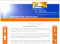 sunshinelightbulbs.com