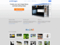 avidimages.net